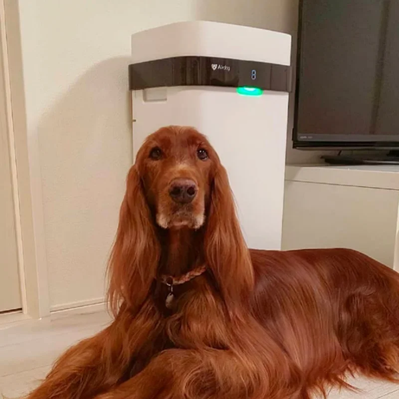 Airdog ETL Certificated Smart Purification Home Air Purifier for Pet Hair and Peculiar Smell