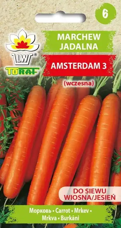 Carrots Amsterdam 3 carrot seeds of vegetables 5G-TORAF