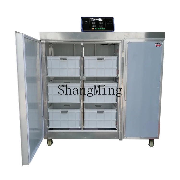 ZYY macchina automatica commerciale per germogli di soia, piccola macchina per germogli di soia