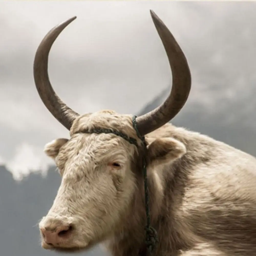 : Peines de alisado capilar