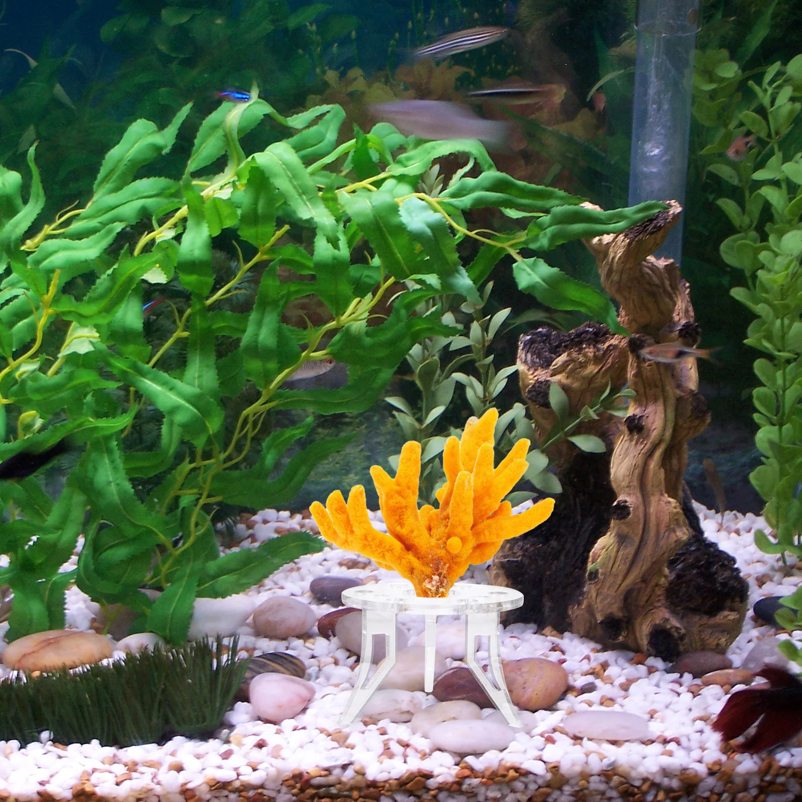 

1Pcs Coral Bracket Stable Coral Plant Holder Easy Clean Aquarium Supplies Durable Lightweight Fish Tank Accessory