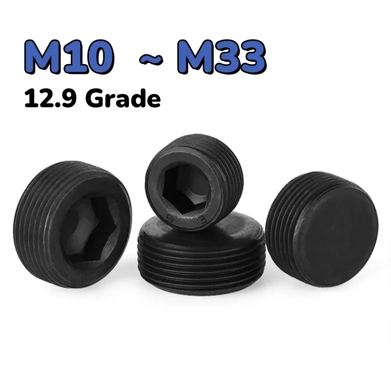 Black Carbon Steel Grade 12.9 Hex Socket Metric Plug Screw M10 M12 M14 M16 M18 M20 M22 M24 M27 M30 M33
