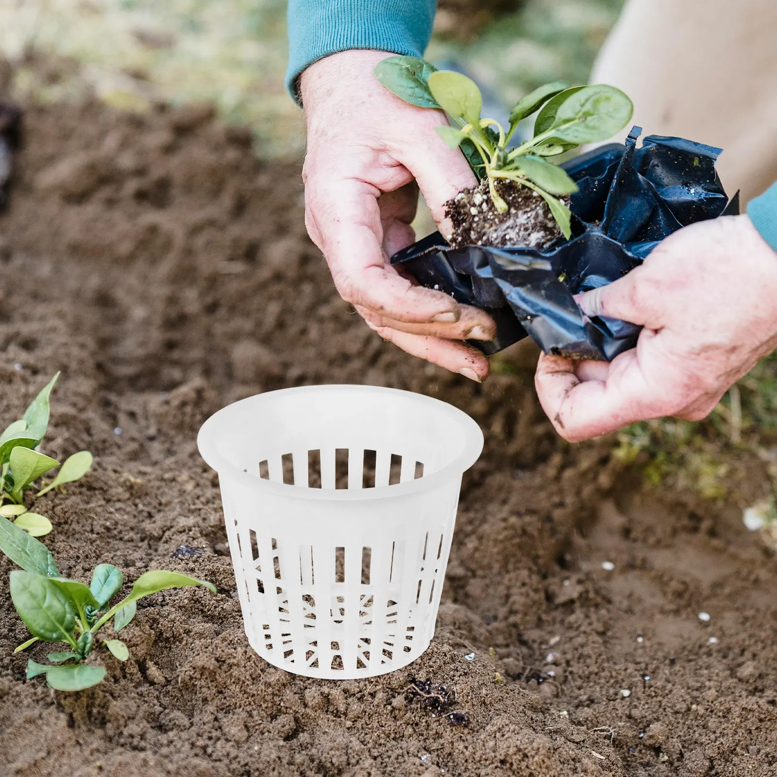 10 szt. Siatkowe doniczki hydr – Plant Pot recenzja i cena