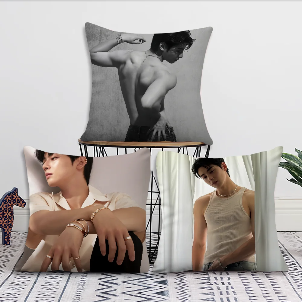 Kpop Singer Cha E-Eun W-Woo Pillow Case Home Sofa living Room Office Shop Cover Printing Comfort Decoration Nordic Simplicity