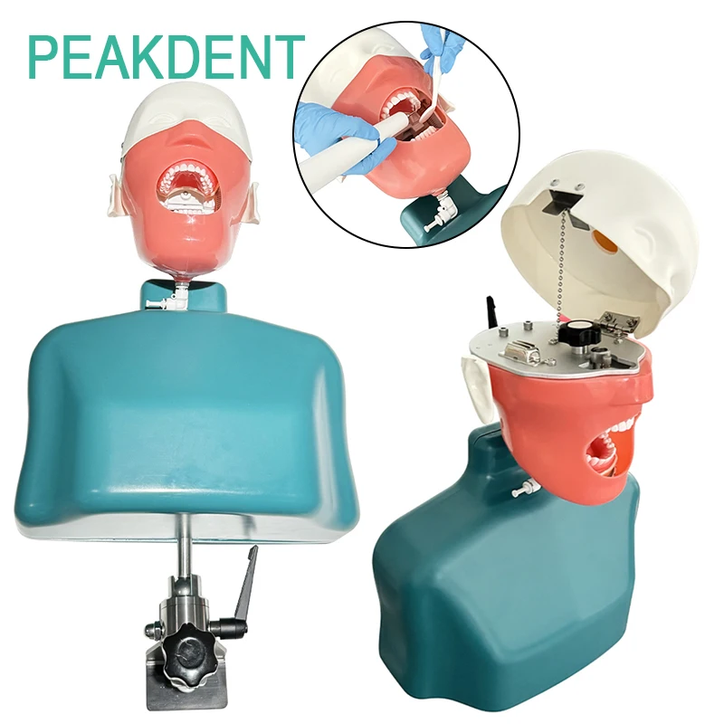 الأسنان الكتف الجسم رئيس نموذج التدريب فانتوم رئيس محاكاة طب الأسنان رئيس نموذج جهاز نموذج للتدريس العملي #1