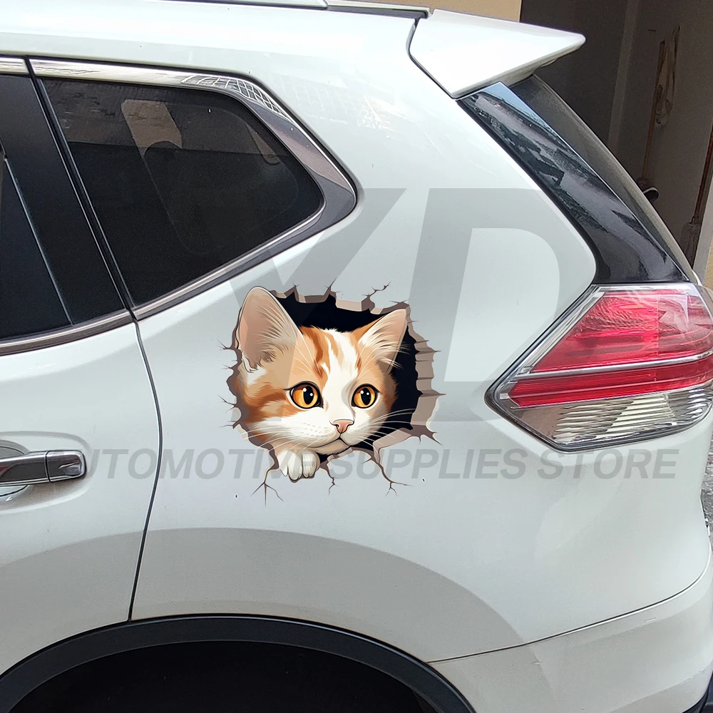 3D Cat Car Sticker Cute Orange Kitten Decals Waterproof Vinyl Auto Body Window Laptop Decor Animal Skeleton Styling Kawaii Gift
