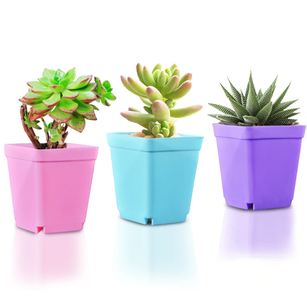 10PCS/bag Gardening Mini Small Square Pot Flower Pot Succulent Pot Little Black Square Plastic Pot Seedling Tray Containe