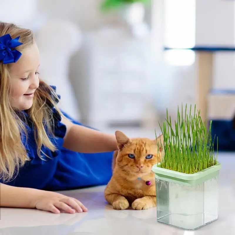 Hydroponic Cat Grass Growing Box Soilless Cat Grass Pot Wheat Grass Growing Pot Transparent Cat Grass Seedling Tray Household