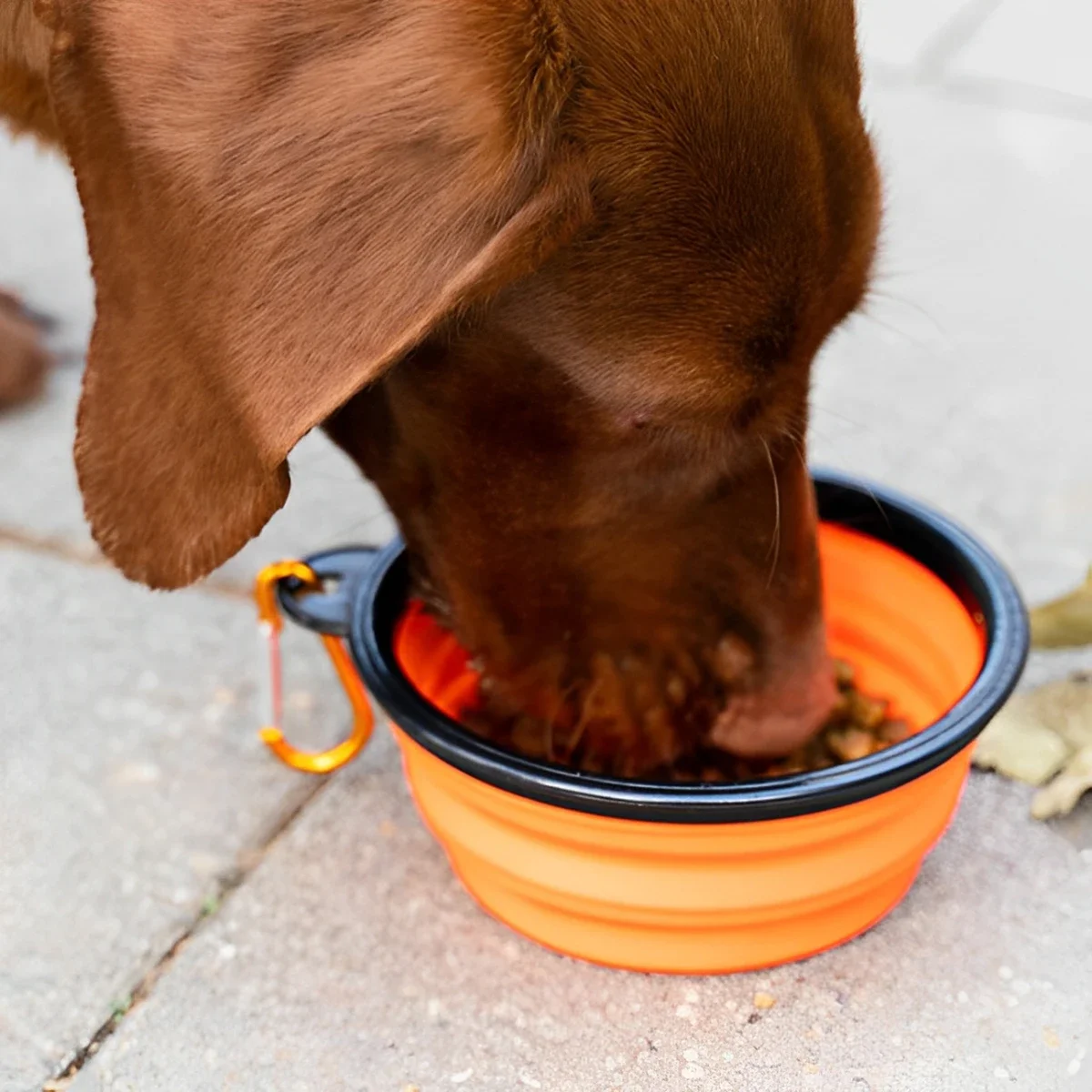 Portable Silicone Pet Bowl 350ML/1000ML, Collapsible Cat Food Dish with Hanging Hook, Durable Outdoor Travel Feeder