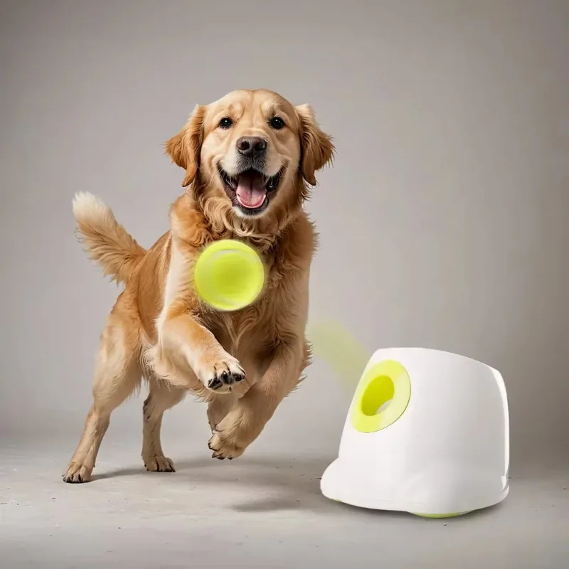 Interactive Adjustable Distance Maxi Hyper Fetch Automatic Ball Launcher 6.5cm Tennis Automatic Dog Ball Launcher