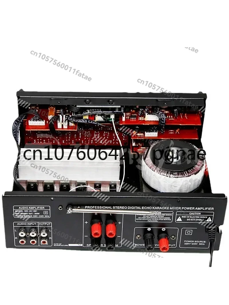 High Power Household Power Amplifier 12V/220V Bluetooth EQ Equalizer Car Outdoor Karaoke Dual-Use