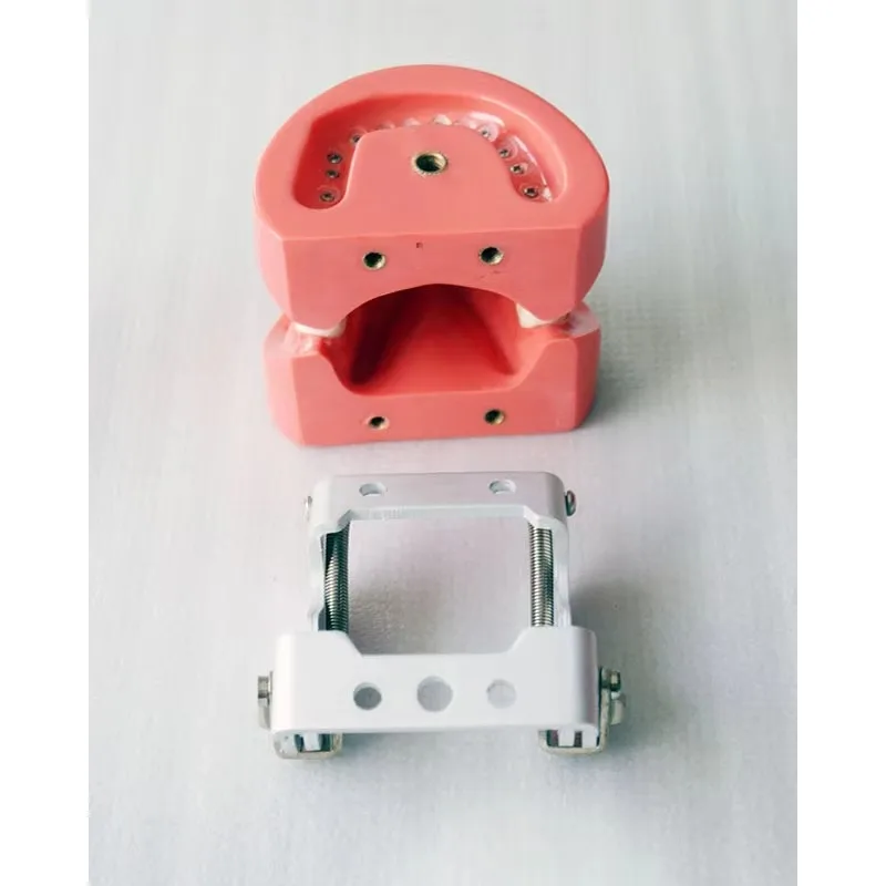 Modelo fantasma de mesa do simulador de treinamento médico YTYIN para estudantes universitários