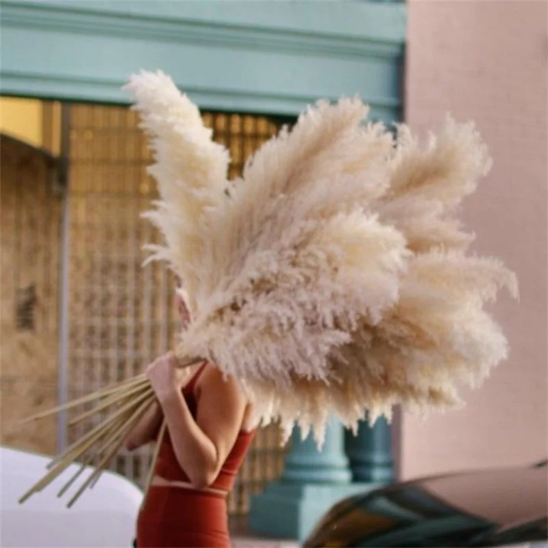 XXL 80-120cm Big Boho Pampas Grass Large Natural Dried Flowers Bouquets Living Room Wedding Decor,Fall, Winter Home Decoration