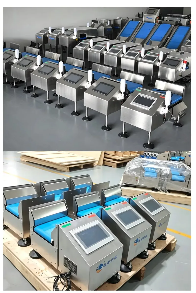 Checkweigher, Mini Checkweigher, Dynamic Industrial Online Weighing Scale