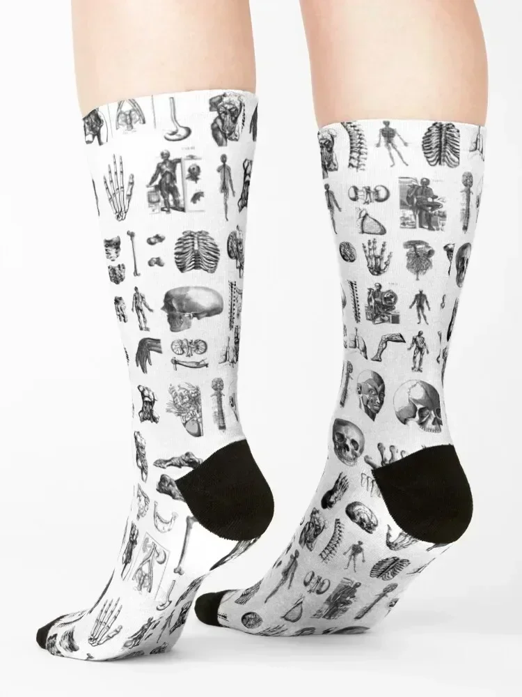 Anatomy Socks floral Stockings man soccer anti-slip kawaii Socks Women's Men's