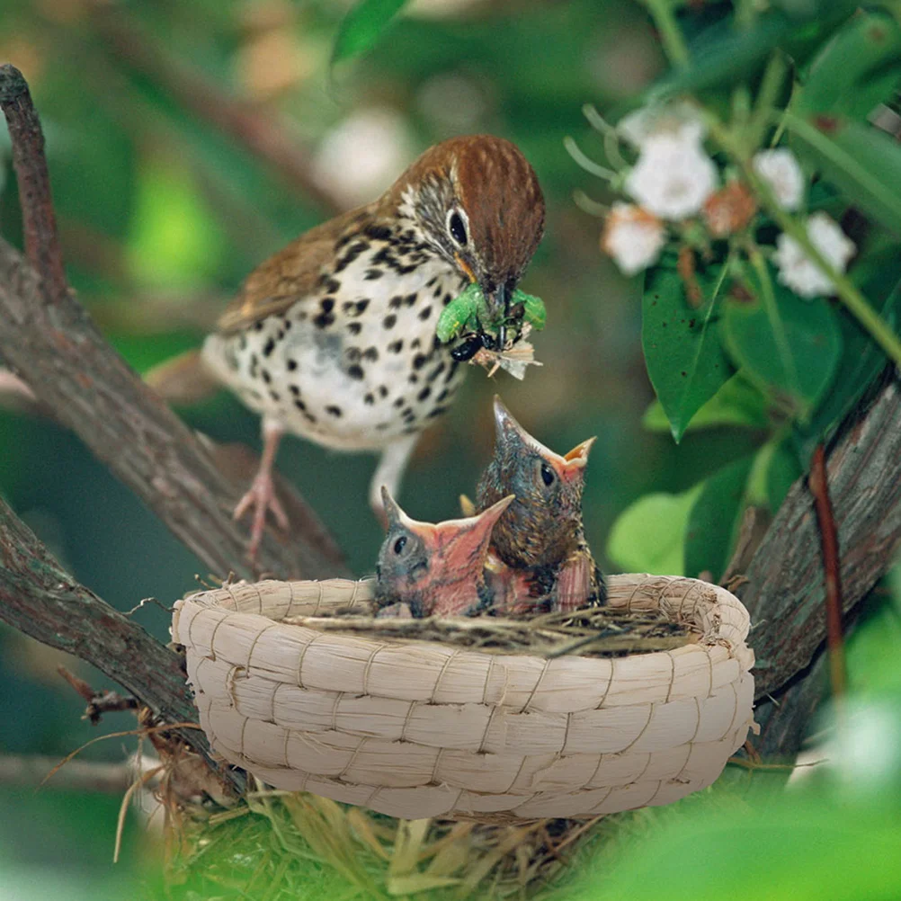 

2Pcs Handwoven Straw Nest for Pigeon Hatching Breeding Natural Roosting Nest for Parrot Outdoor Garden Bird Accessory
