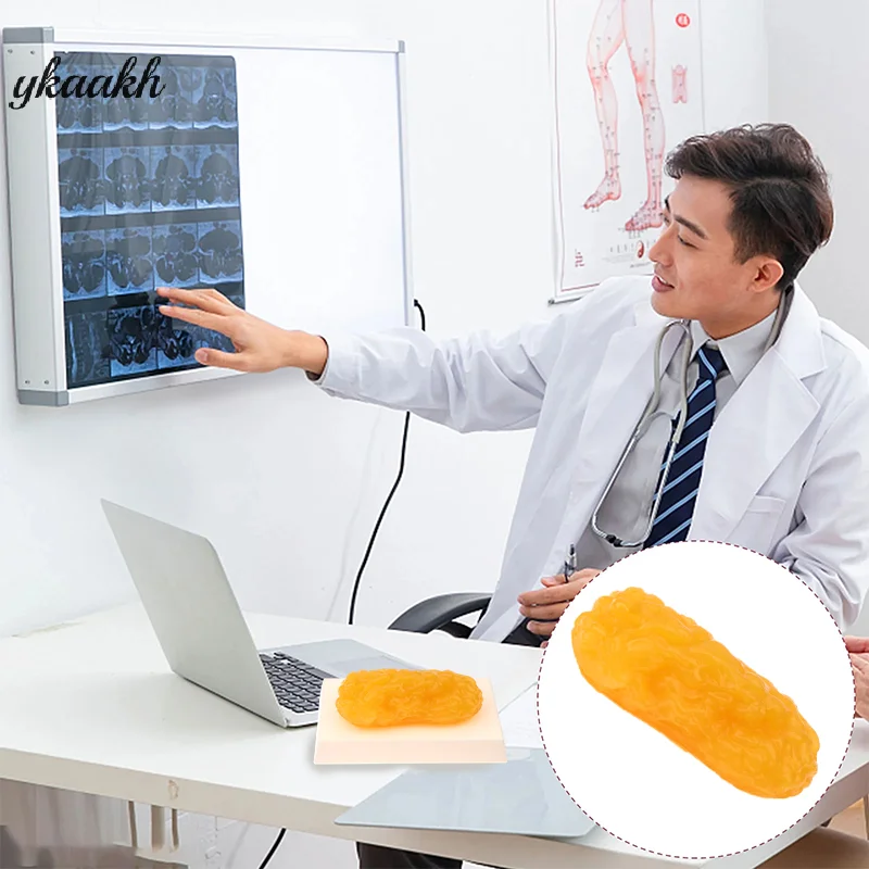 

Fat Replica Fatty Tissue Model Human Body Fat Replica 1lb Human Fatty Tissue Demonstration Model For Nutritionist Science Course
