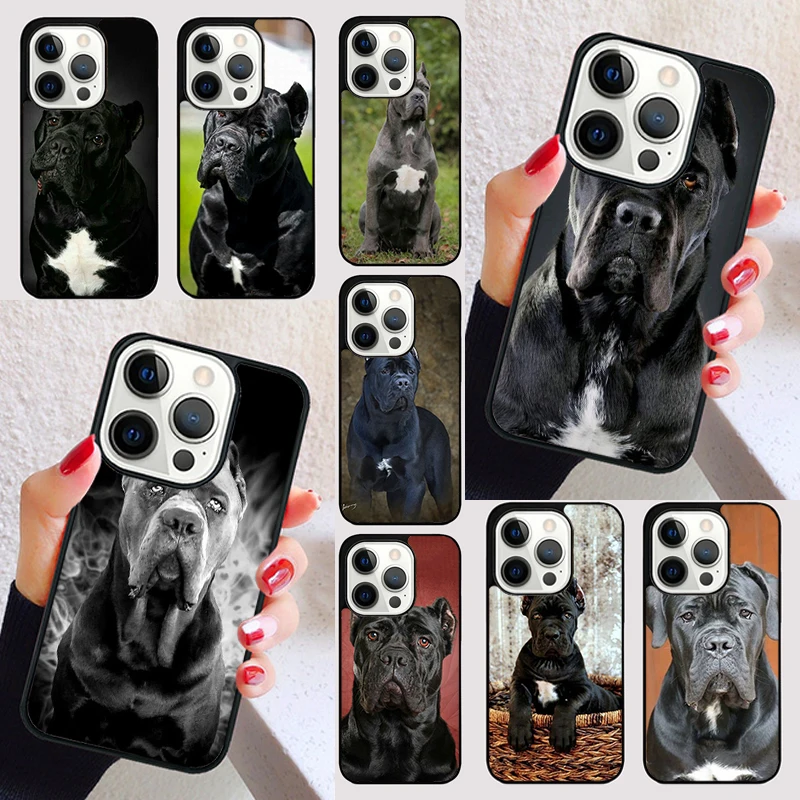 Funda italiana Cane Corso Mastiff Dogs para iPhone 15 16 13 12 11 14 Pro Max Mini Max SE 2020 7 8 6S Plus
