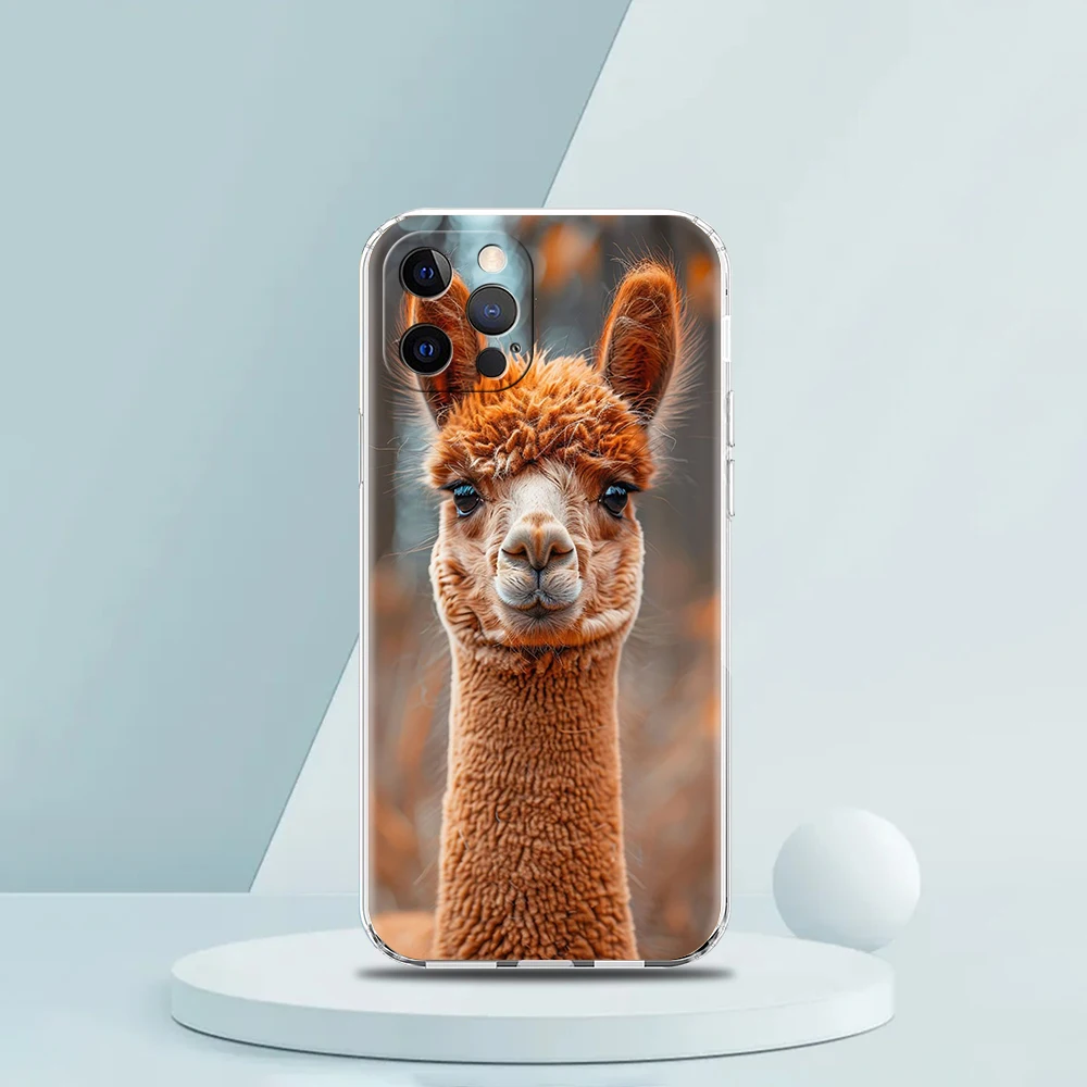 For iPhone 15 16 14 13 12 mini 11 Pro Max XS X XR SE 7 8 Plus Silicone Clear Cover Kawaii Alpaca lovely Luxury Phone Case