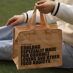 Foldable Reusable Leakproof Paper Lunch Food Bag, Portable Container, Large Capacity, Thermal Cooler, Insulated Kraft, Kids, Boy