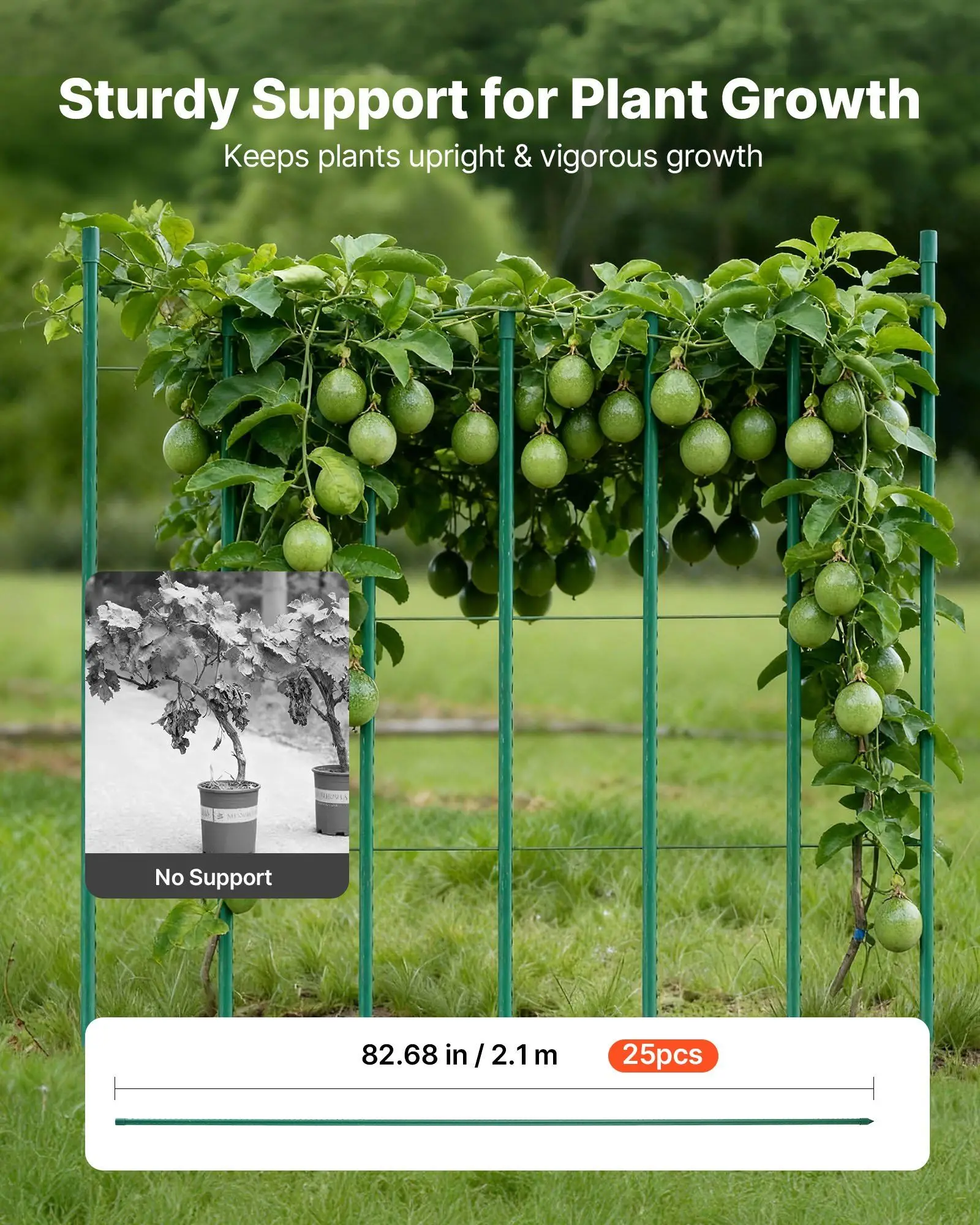 

Garden Stakes, 25 Pack, 82.68 inch, Plastic Coated Metal Tomato Stakes, Garden Sticks for Plants Support, with Pointed End and