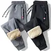 Winter Lambswool Fleece Warm Pants – Casual Fitness Joggers Straight Thick Trousers M–5XL 1