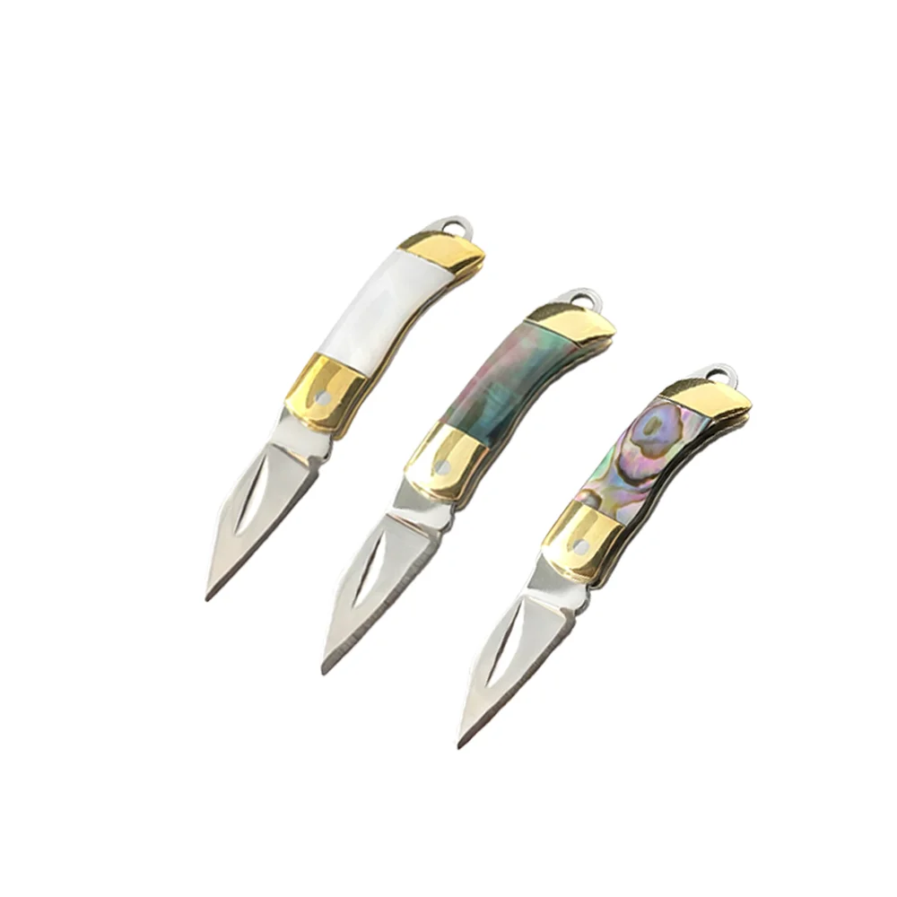 Colorful Shell Handle Keychain Knife, Stainless Steel Mini Pocket Knife, Portable Fruit Paring Knife with Multiple Color Options