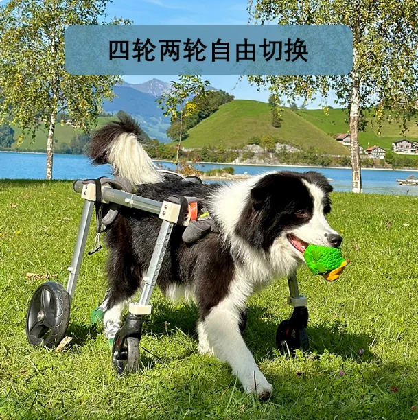 Dog Wheelchair for Back Legs Lift Quad Wheel Disabled Pet Walking Aid Senior Recovery Frame