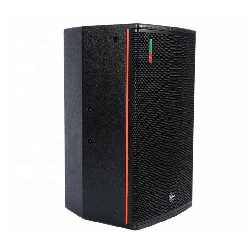 

New Trending Product 10 Inch HIFI DJ Box High-end Birch Plywood Wooden 1000W Single Stage Indoor Big Power Outdoor Party Speaker