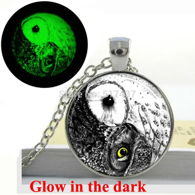 Glow in the dark Necklace Pendants,Yin Yang Owl Necklace ,Bird Jewelry , Fashion owl necklace Glass Art Photo  Glowing Jewelry