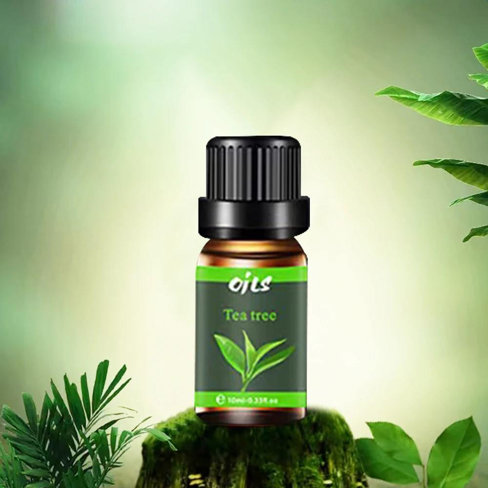 Nuovo kit di oli essenziali 6 in 1 6 fragranze per diffusori Legno di sandalo Cedro Tea Tree e altro Aromaterapia Made Easy
