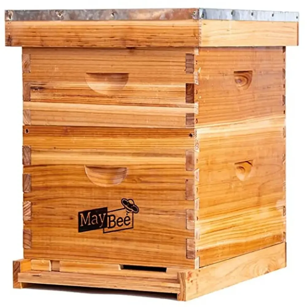 

Beginner Beekeeping Kit with Premium Cedarwood Hive Body and Removable Wax Coated Boards