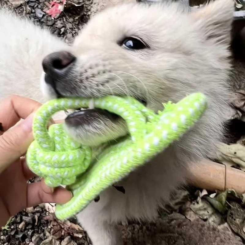 Thumbnail 2 - #61 Best Dog Chew Toys to Buy In 2026