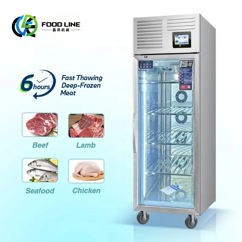 customized Low Temperature Thawing Cabinet High Humidity Commercial Defroster for Hotel Kitchen Frozen Food Bulk