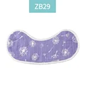 ZB29