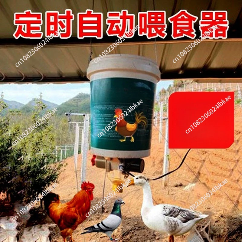

220V Automatic Chicken Feeder Funnel Pellet Pigeon Chicken Duck Pigeon Cage Intelligent Automatic Feeding Artifact
