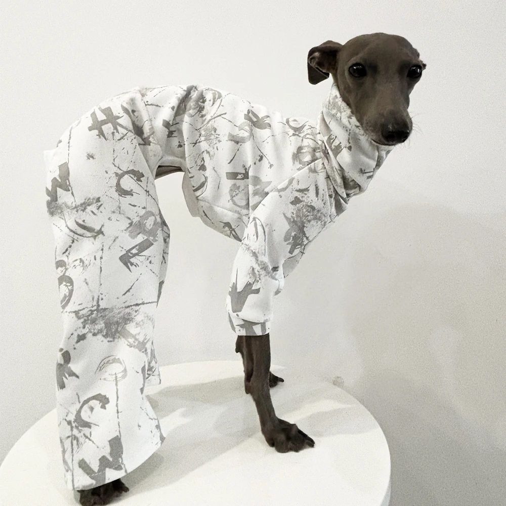 Italian Greyhound W…
