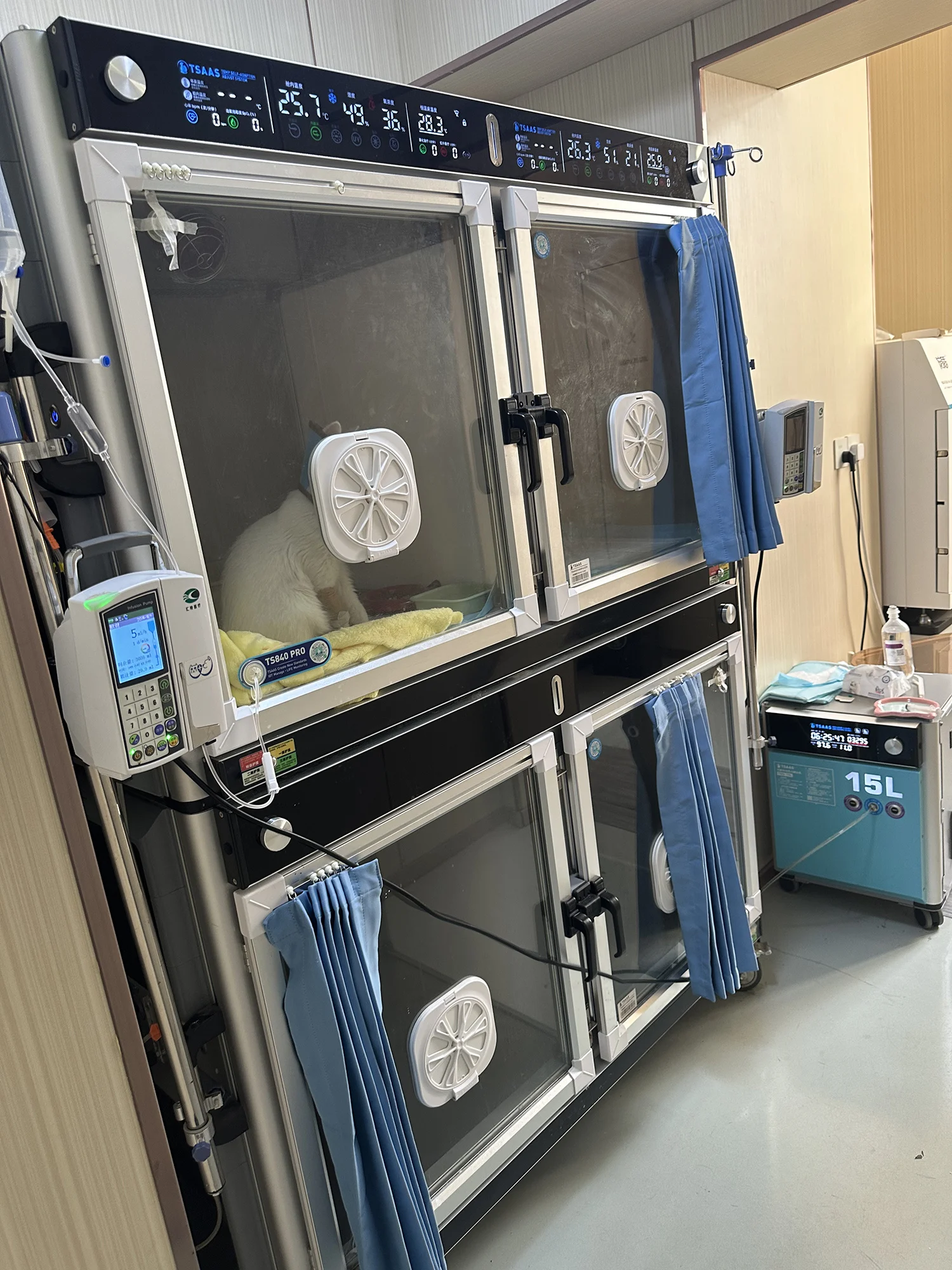 Incubadora Automática para Mas - Animal Incubator Veterinary reseña y precio