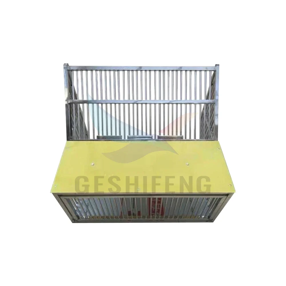 Stainless steel jump cage for flying pigeons with a  T-trap door, an outdoor metal cage that can fly in and out.