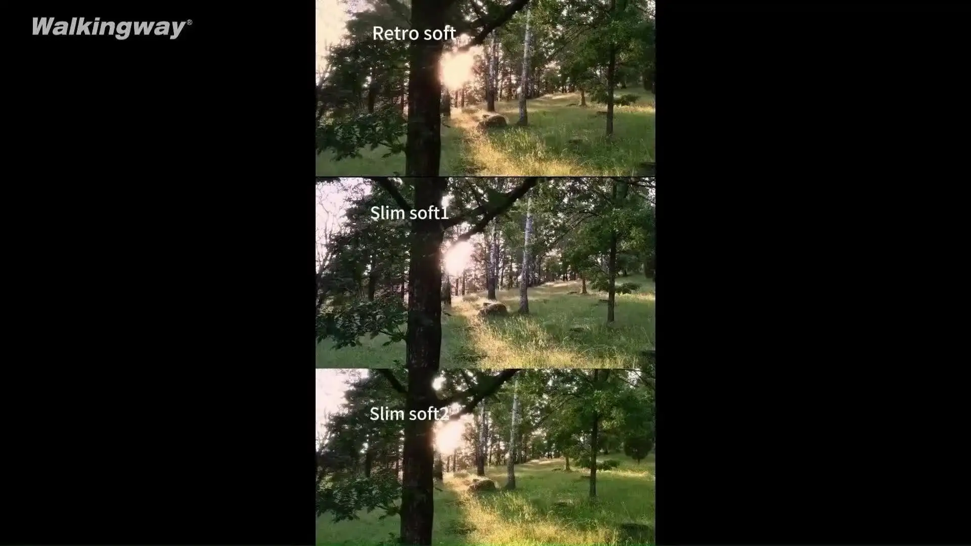 Filtro TideOptics CineSoft 1/8 77mm – Effetto Sogno E Pelle Morbida Per Fotografia E Video