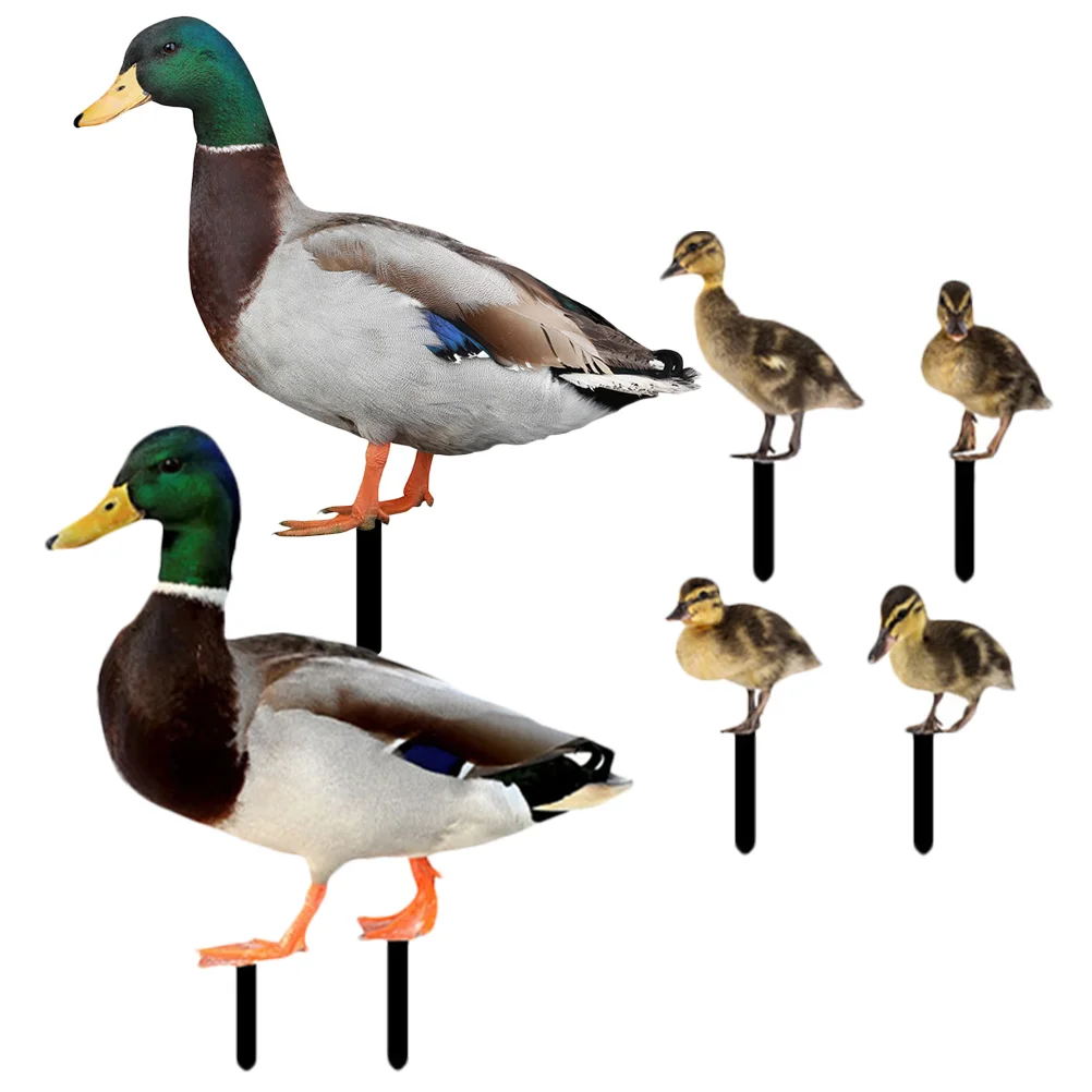 

6 Pcs Outdoor Sculpture Eagle Toy Garden Decoration Insert Ducks Sign Lawn Adornment Yard Stake