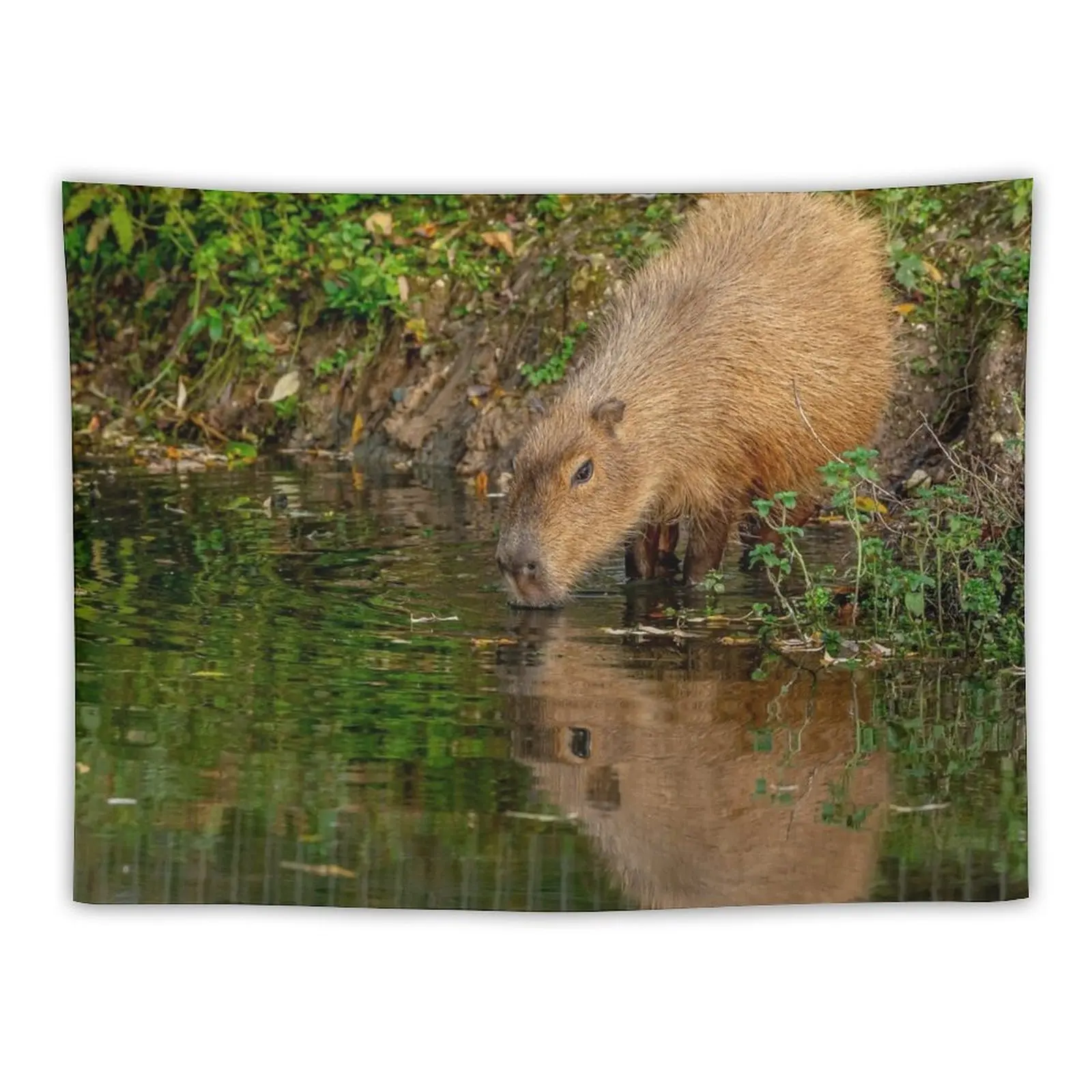 

New Capybara taking the water Tapestry Cute Room Decor Wall Hanging Wall