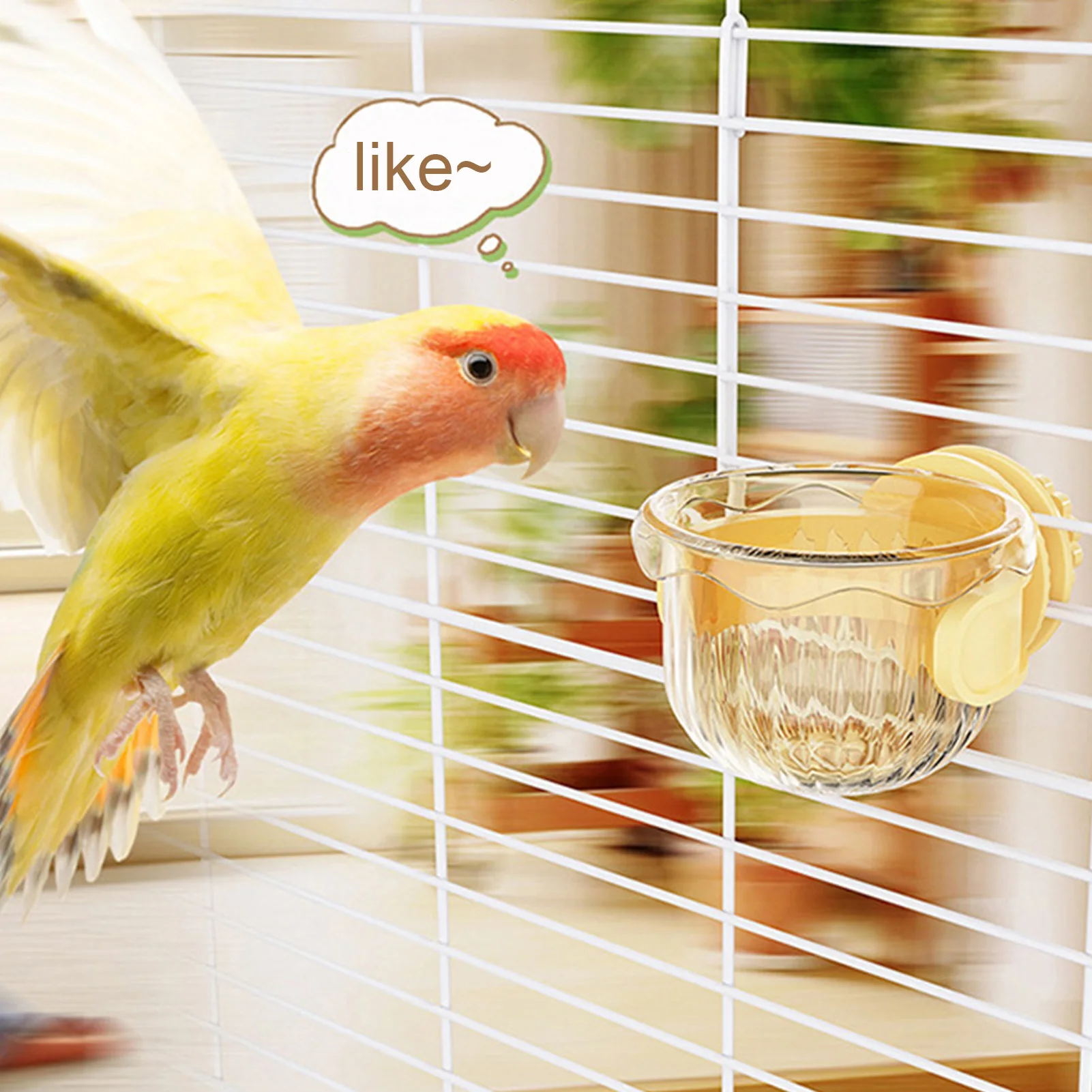 Small Parrot Feeder with Splash-Proof Design for Horizontal 