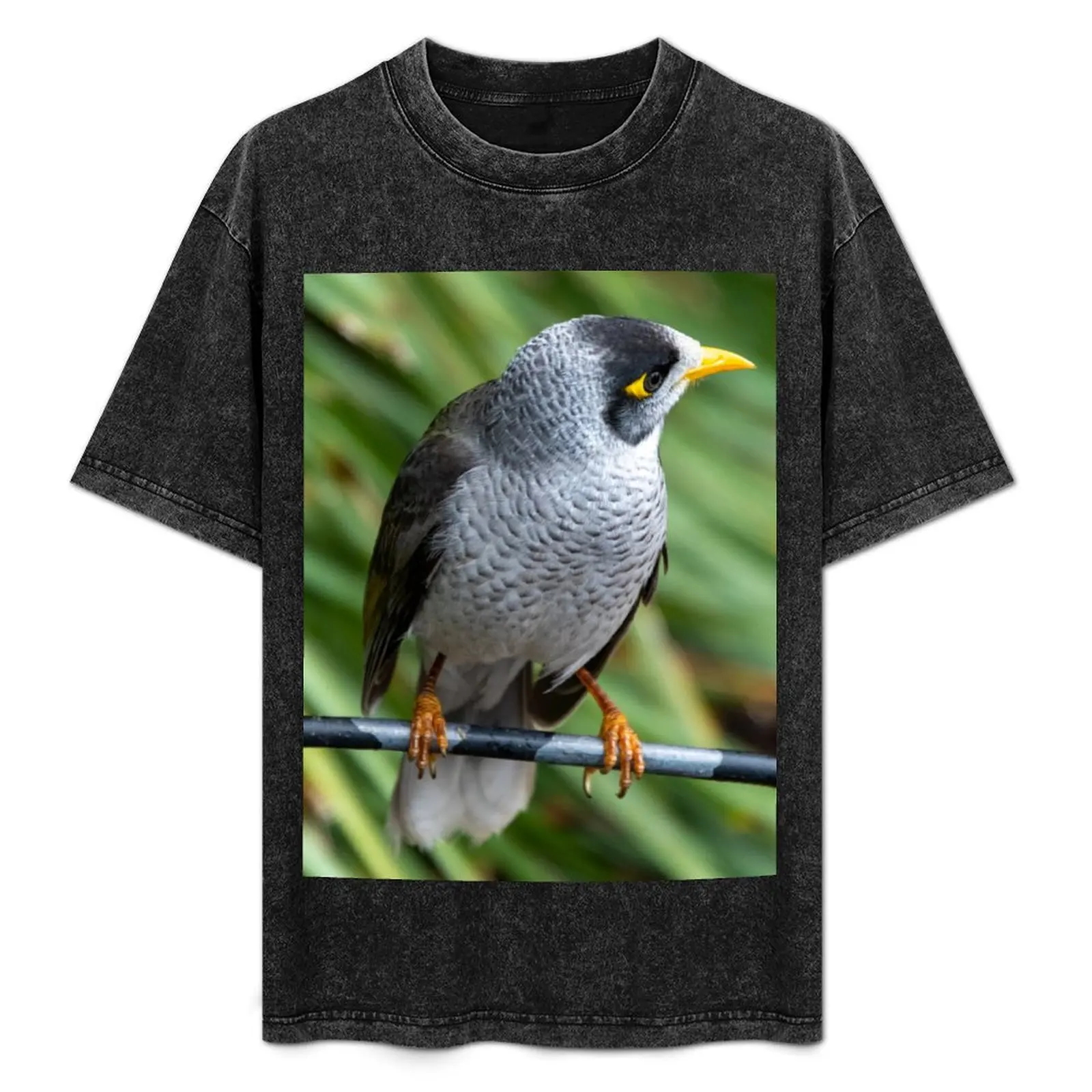 Noisy Miner Australian Bird T-Shirt custom t shirt animal prinfor boys mens tall t shirts