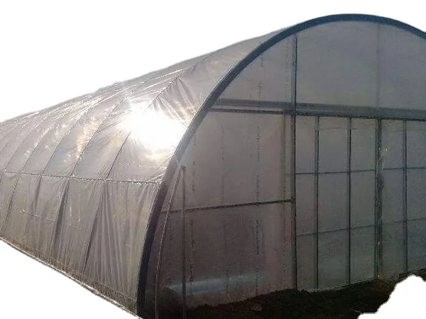 Small Multi-Span Agricultural PC Sheet Greenhouse Temperature Control Vegetable Growing Serre Agricole Invernadero