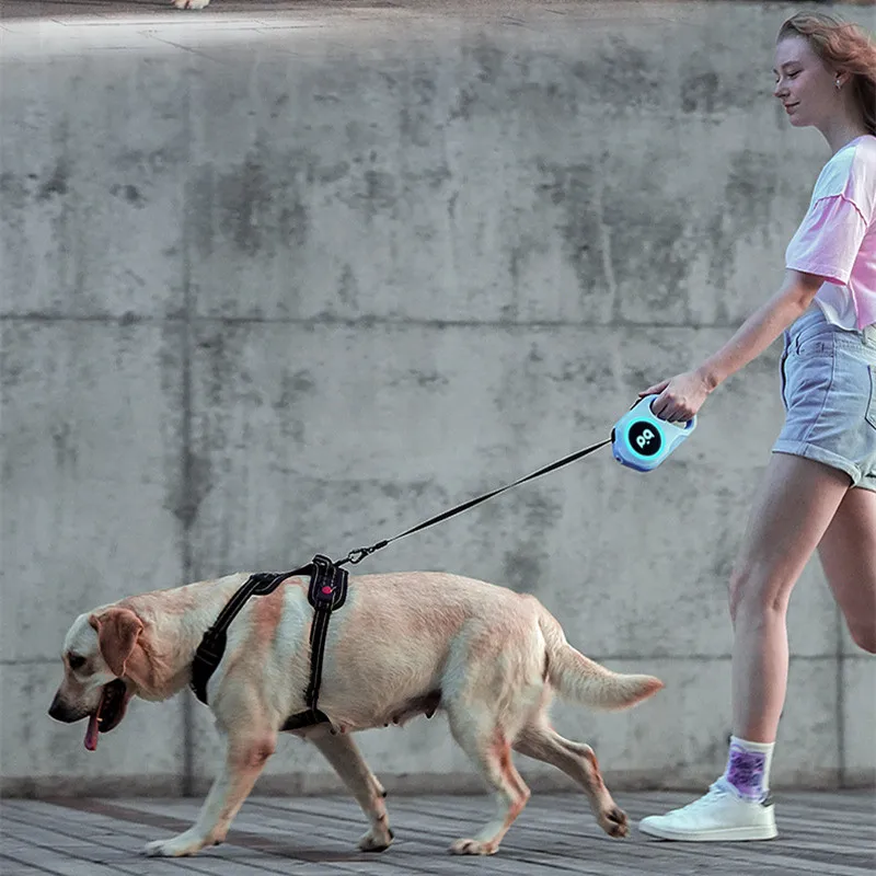 Imagem -03 - Trela Automática Retrátil Chumbo Luminoso Led Correias de Luz para Cães Pequenos e Médios Cachorro e Pet Pista Flexível de Caminhada e Corrida 5m