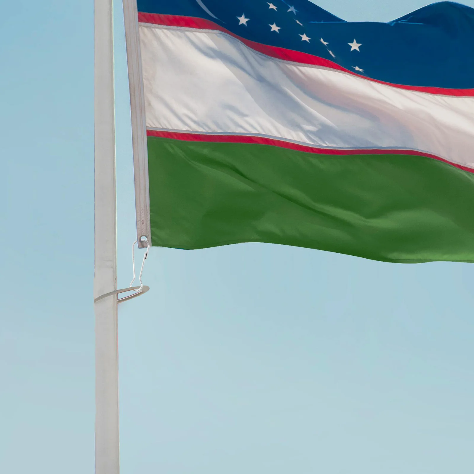 

30Pcs Heavy Duty Stainless Steel Flagpole Snap Hooks Clips for Garden Flags Banner Flag Pole Accessories Replacement Parts