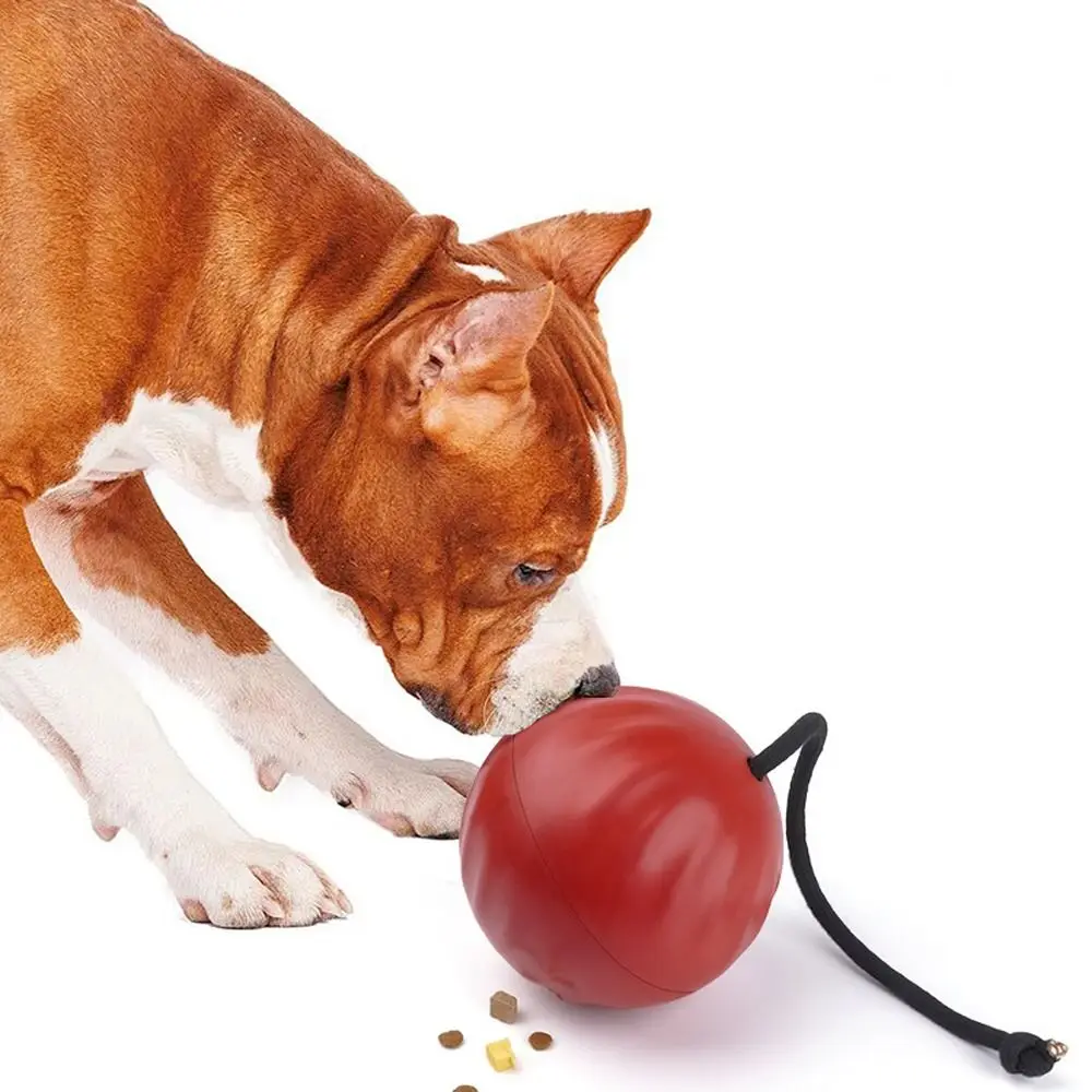 

Durable Interactive Dog Squeaky Toys Funny Bite-resistant Puppy Slow Food Toy Cartoon Pet Sniffing Toy Pets Supplies