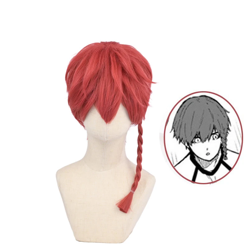 wig with integrated braids cosplay