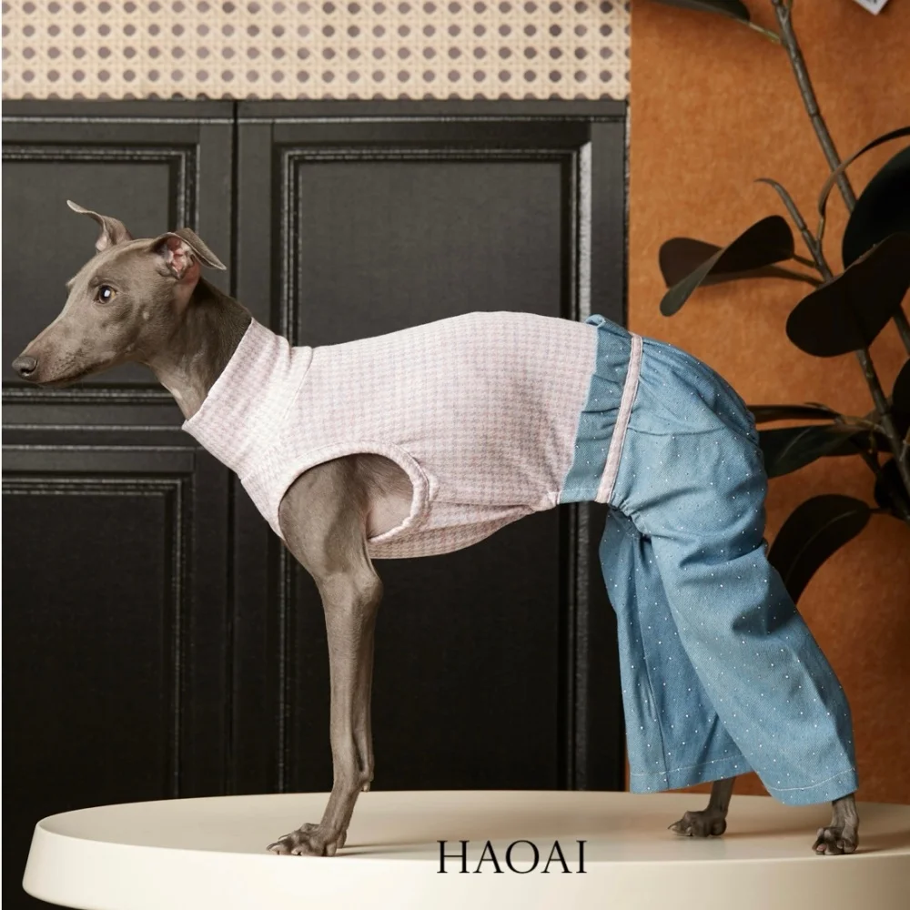 

Italian Greyhound Elegant T-shirt in Spring Purple Short-sleeve Top Sparkling Straight-leg Cotton Blue Denim Pant Coat for Dog